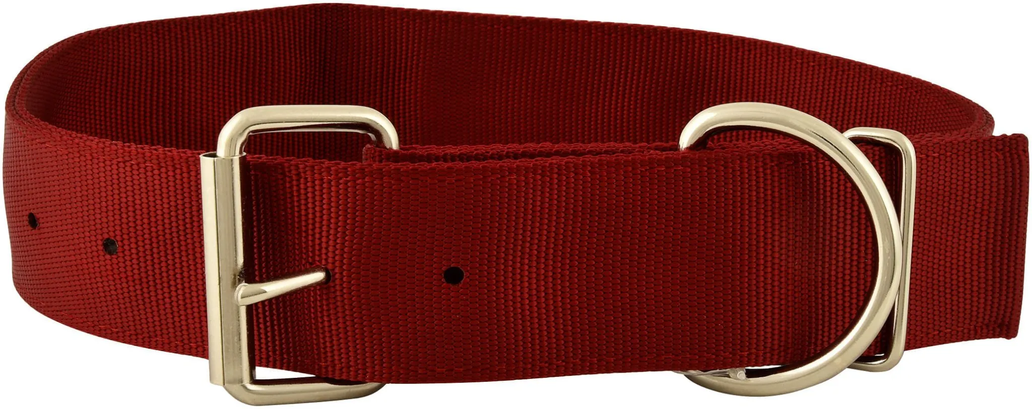 2" Big Dog Collars, 23.5"-28" by Jeffers