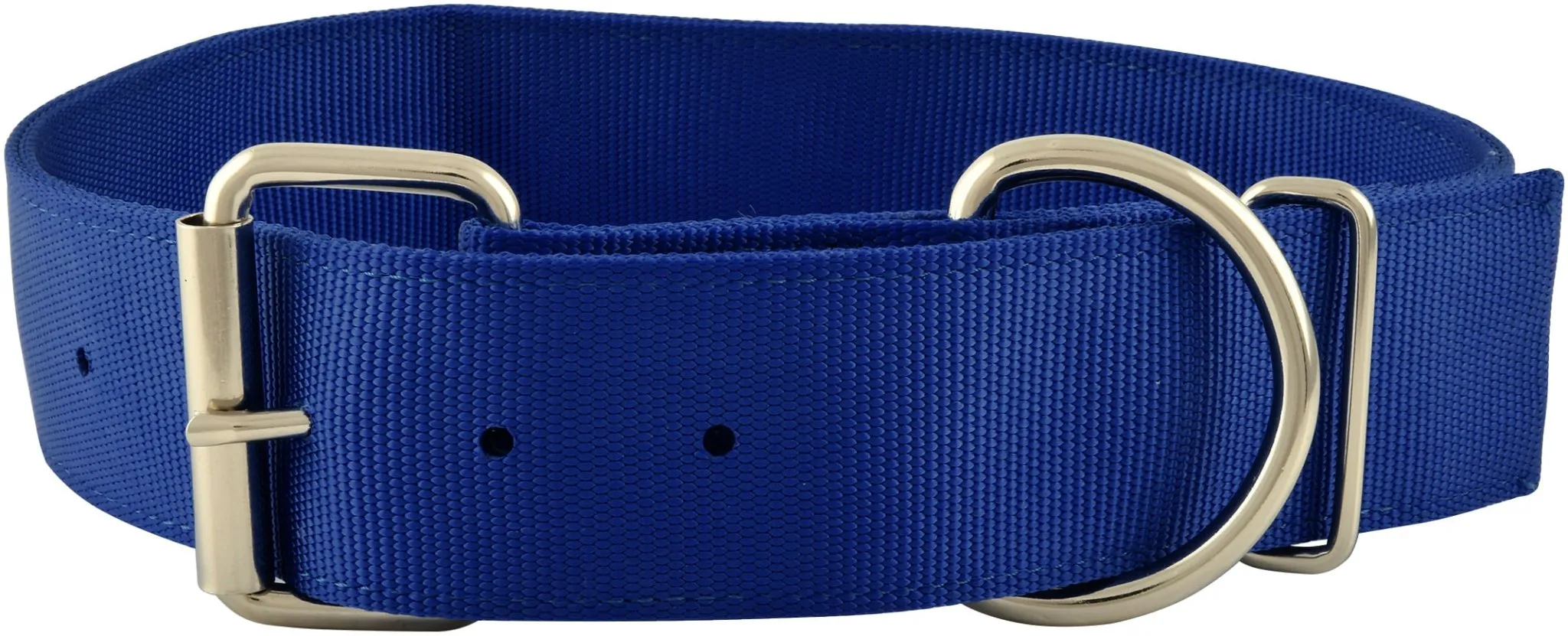 2" Big Dog Collars, 23.5"-28" by Jeffers