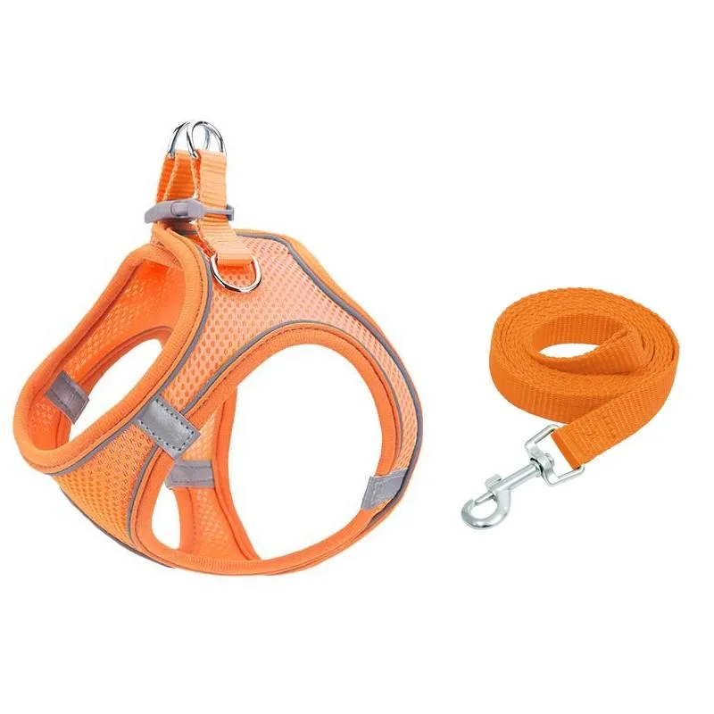 Breathable Reflective Pet Vest With Traction Rope Xxs