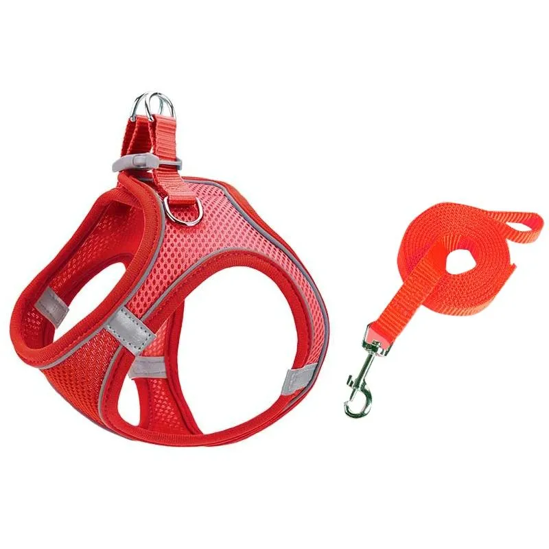 Breathable Reflective Pet Vest With Traction Rope Xxs