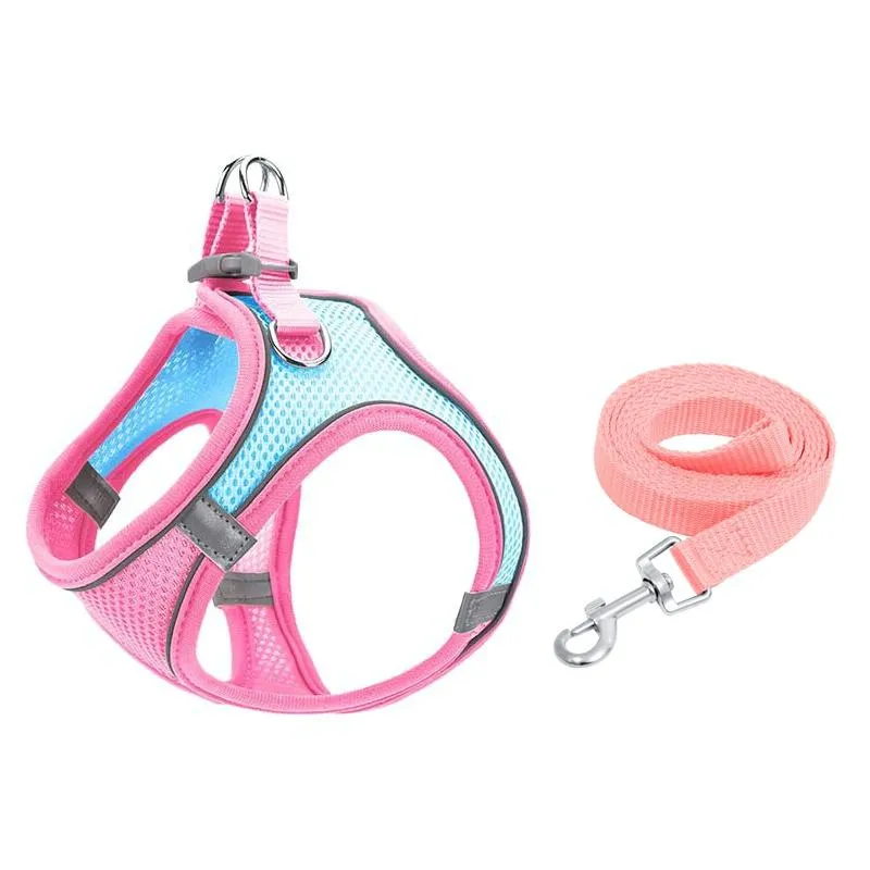 Breathable Reflective Pet Vest With Traction Rope Xxs