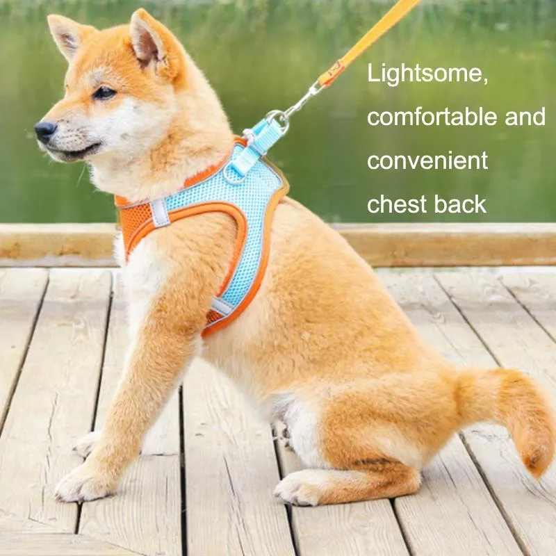 Breathable Reflective Pet Vest With Traction Rope Xxs
