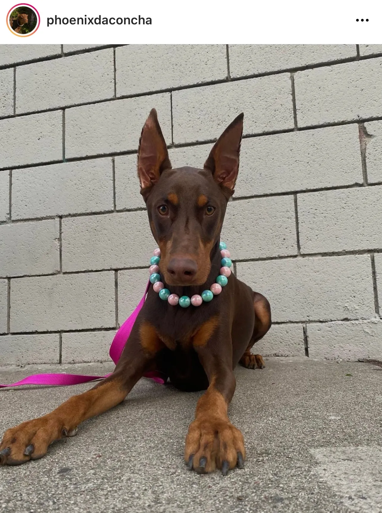Cotton Candy Shine Bead Collar - SALE