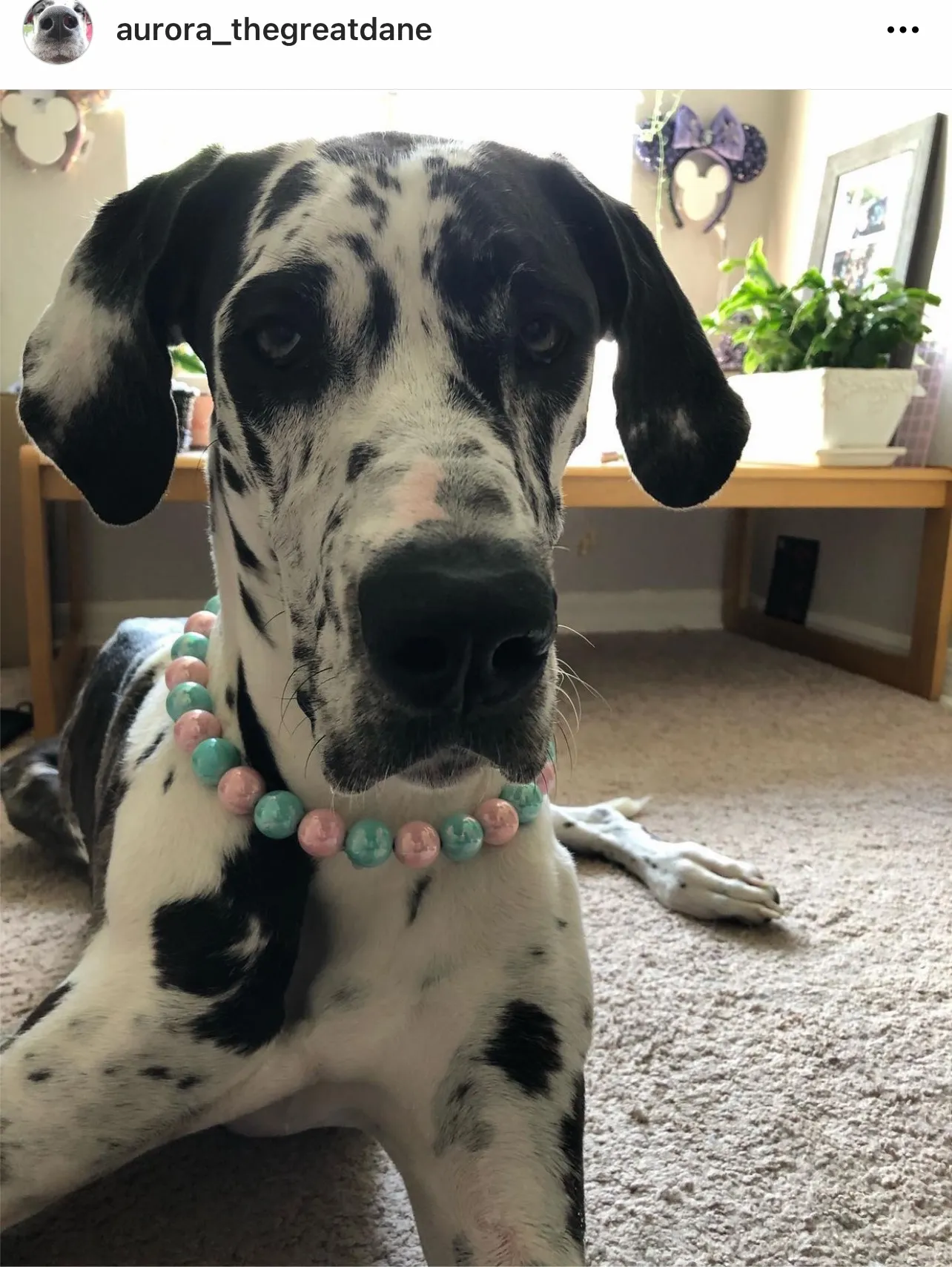 Cotton Candy Shine Bead Collar - SALE