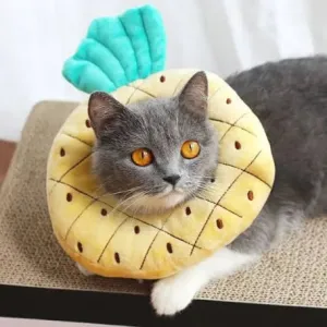 Cute Fruit Pattern Cat Neck Cone