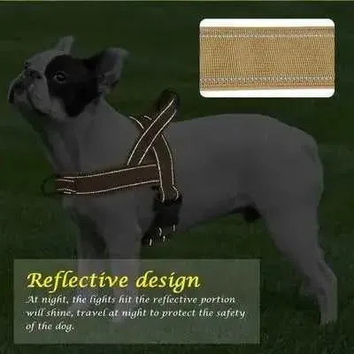Didog Enchanted Dream Dog Harness