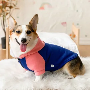 Dog Clothes Autumn --Thin Small and Medium Dog-Pet Dog Clothes Hoodie