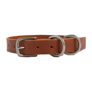 DOG COLLAR SMALL ANTIQUE DOUGLAS COGNAC