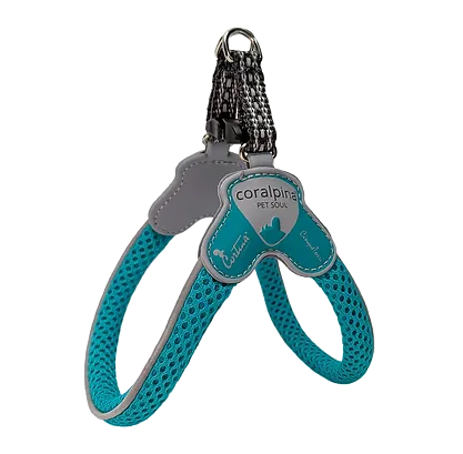 Dog  Harness - The Cinquetorri Turquoise