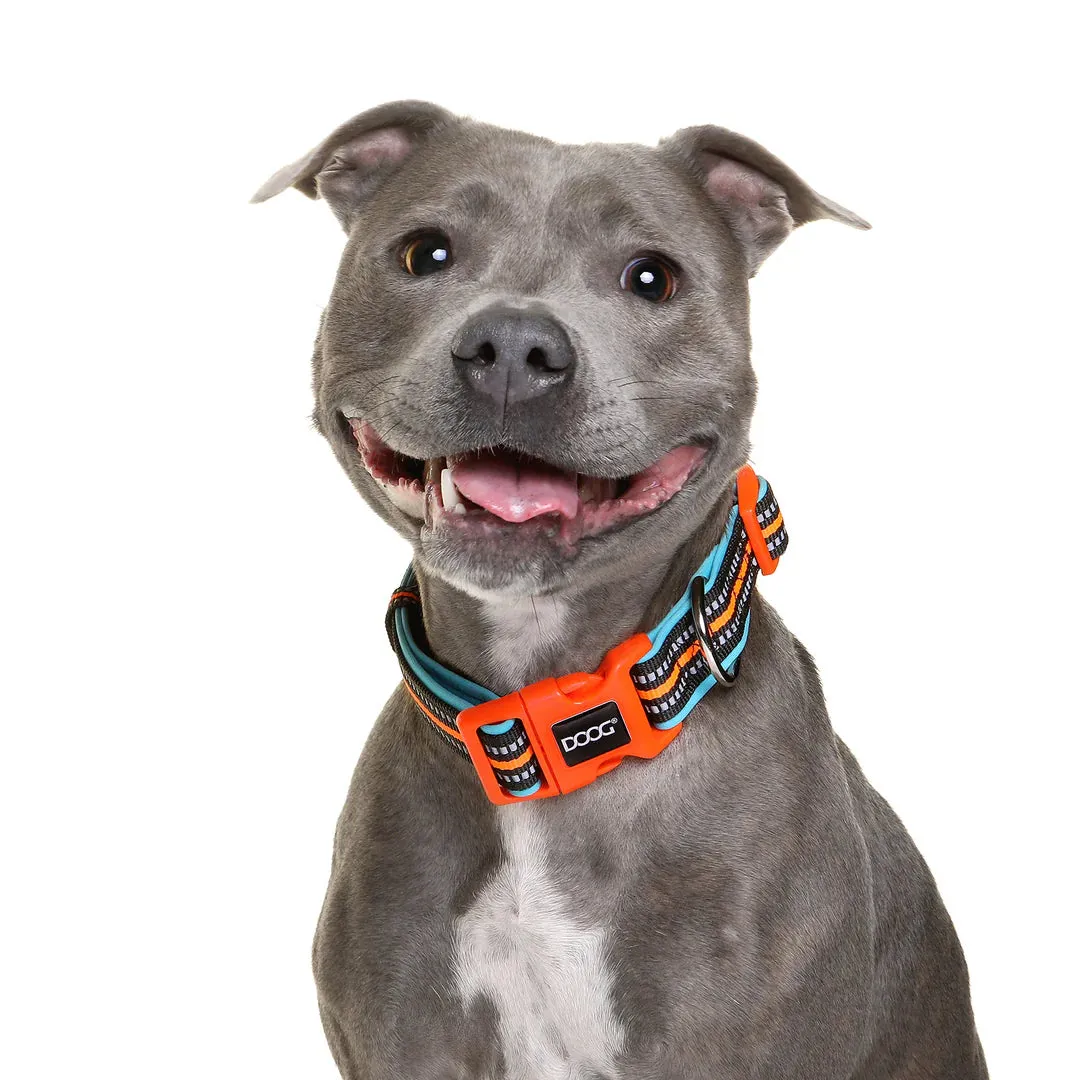 DOOG Neoprene Beethoven Neon Blue and Orange Dog Collar Large