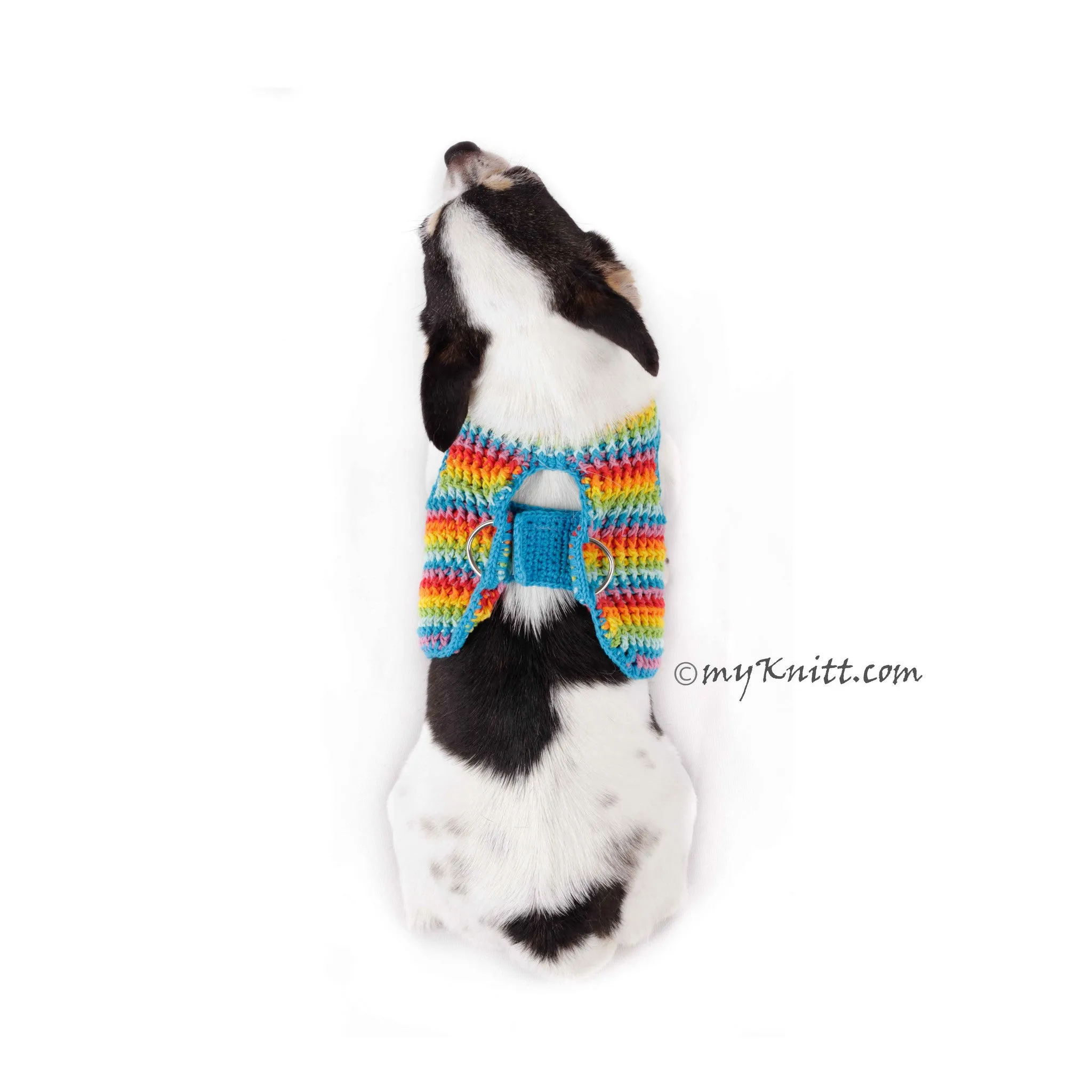 Fun Colorful Rainbow Dog Harness Velcro DH60