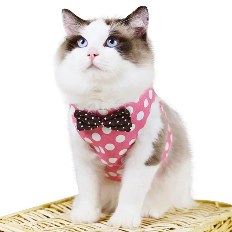 Gentleman Style Cat Harness with Leash