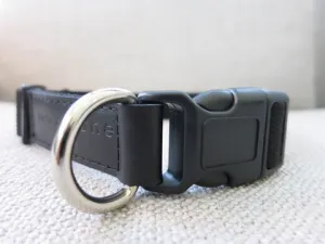 Jayden Collar