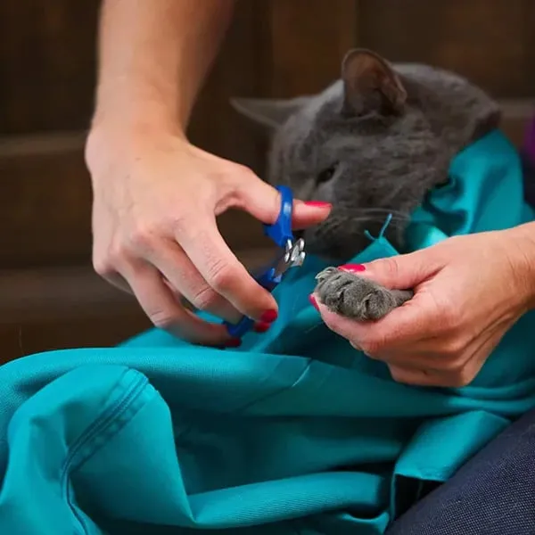 LAST DAY BUY 2  GET 1 FREE!!Cat Carrier Pouch
