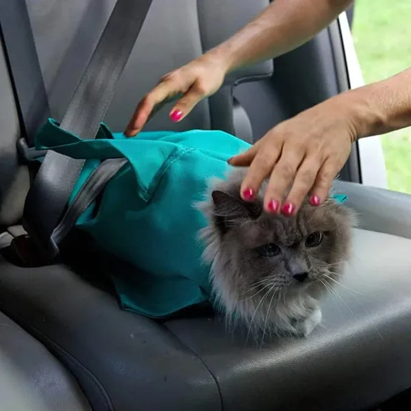 LAST DAY BUY 2  GET 1 FREE!!Cat Carrier Pouch