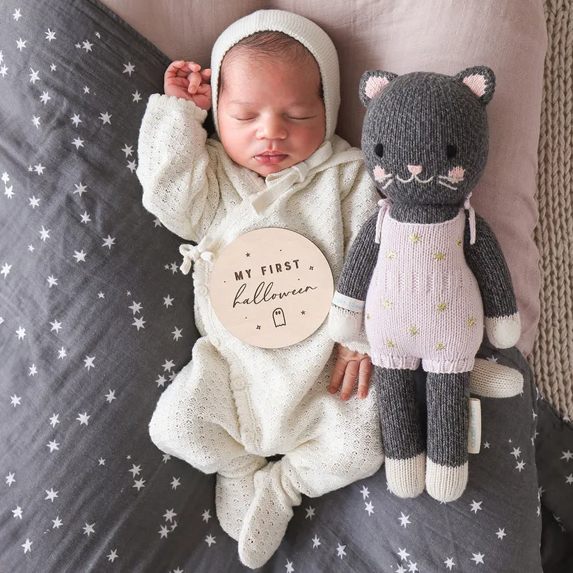 Nova the Kitten by Cuddle   Kind