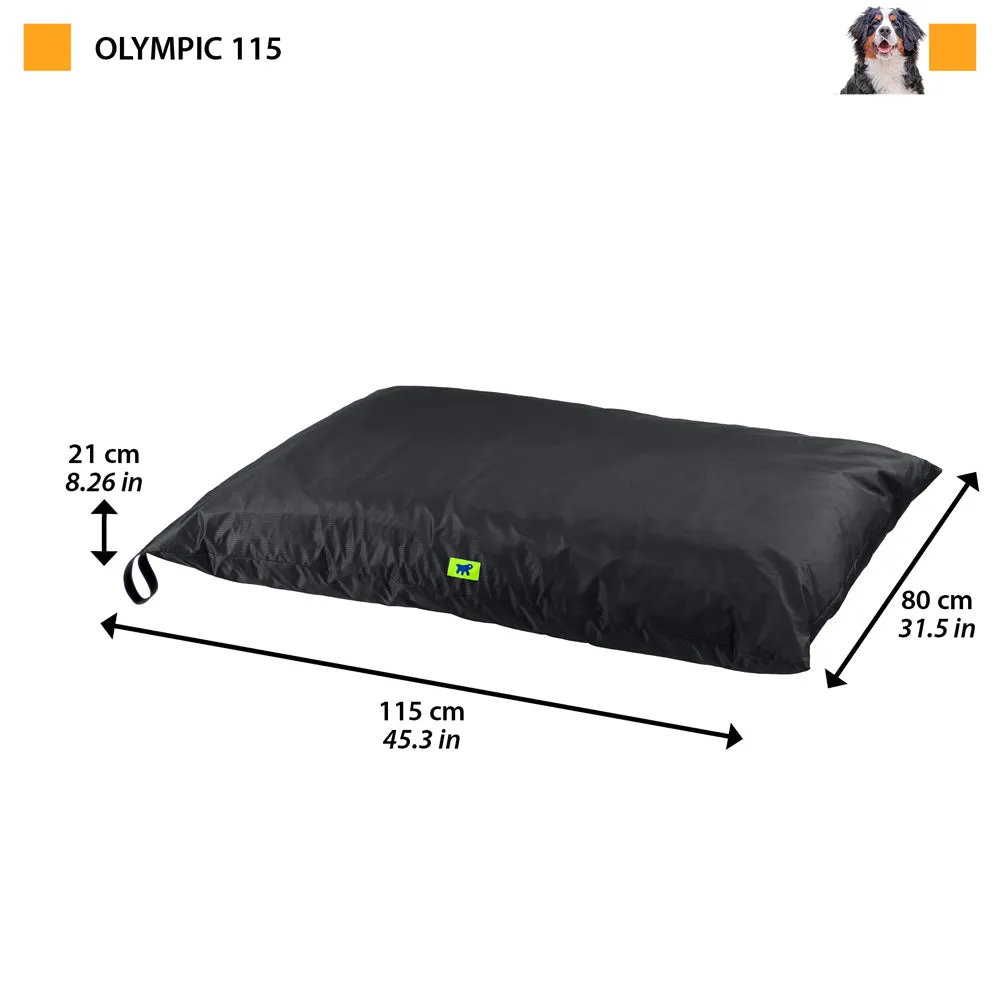 OLYMPIC