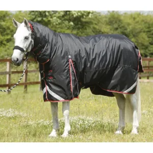 Premier Equine Buster Storm 400g Turnout Combo
