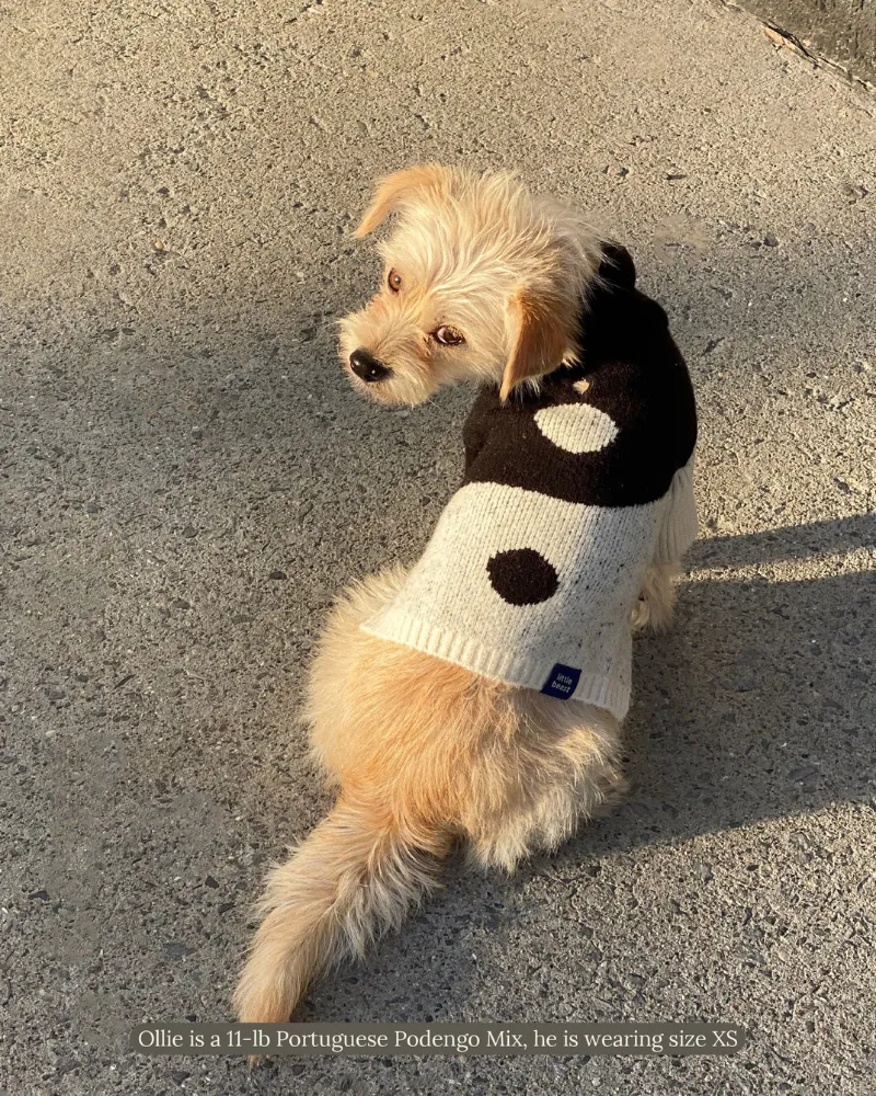 U   Me Dog Sweater (FINAL SALE)