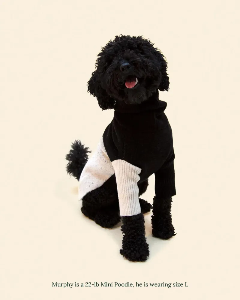 U   Me Dog Sweater (FINAL SALE)