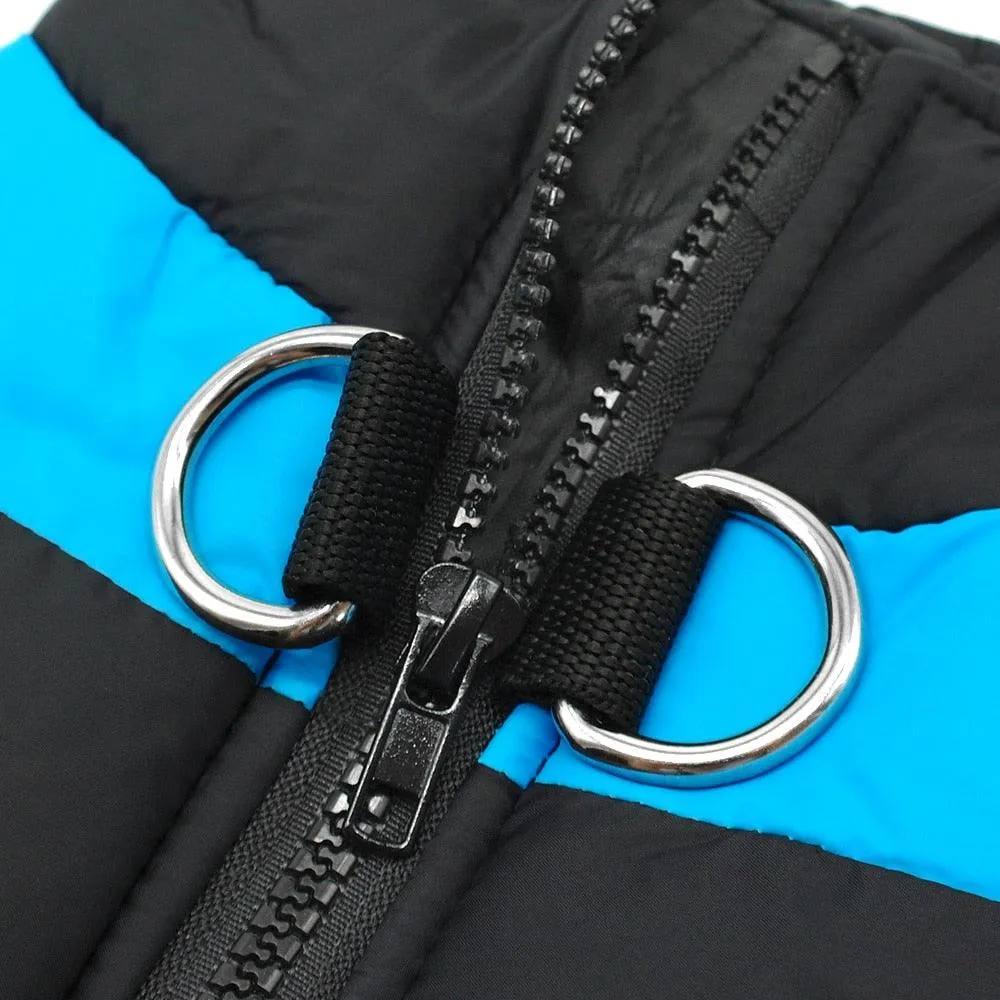 Winter Jacket For Small/Big Dogs